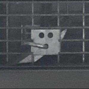 Meet your Posher, Jackson